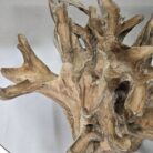 Root Scoop Dining Table INJ0757A17 Close Up