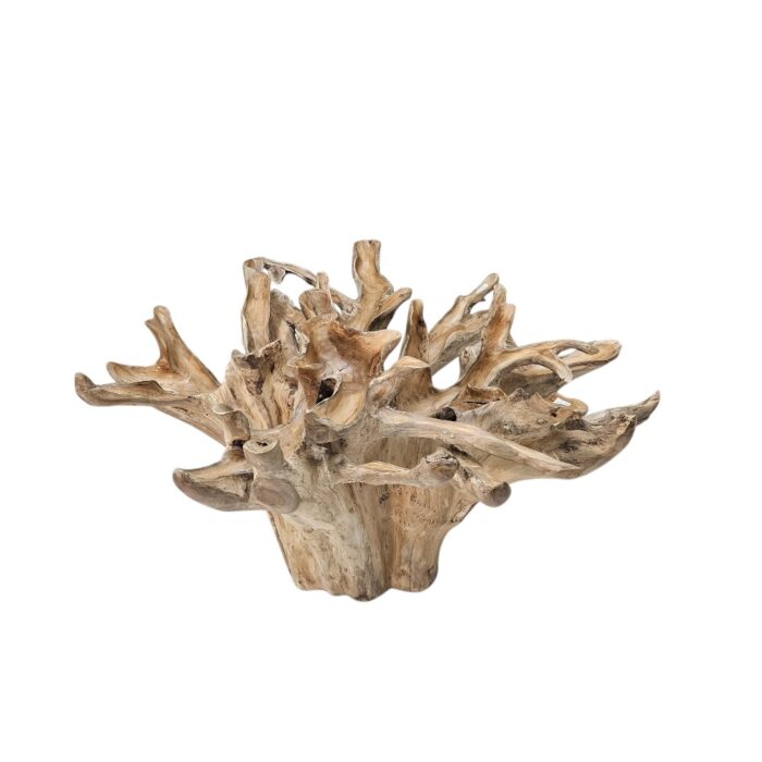 Root Scoop Dining Table INJ0757A17 No glass