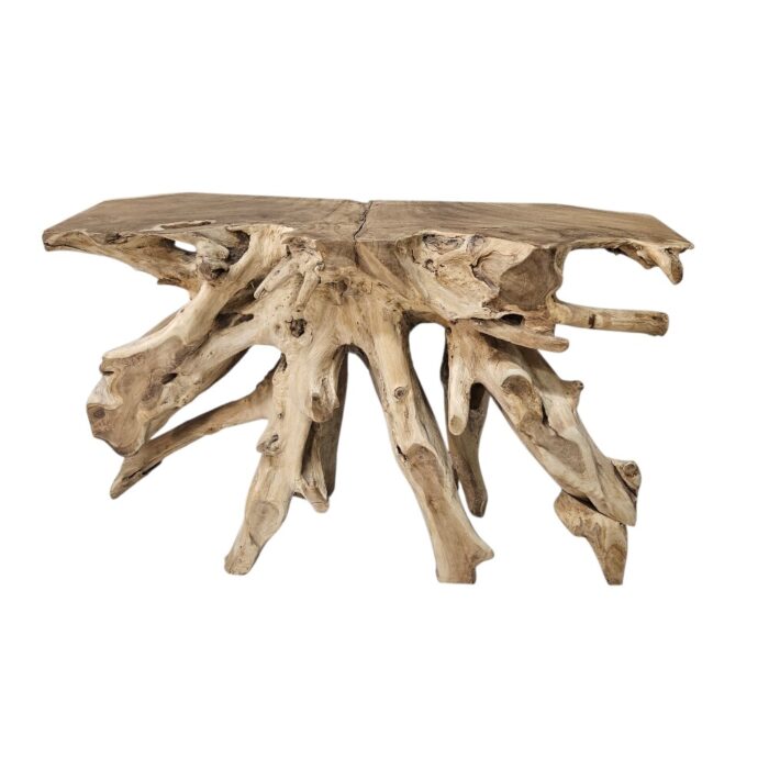Teak Root Console Table NJA5421B Main