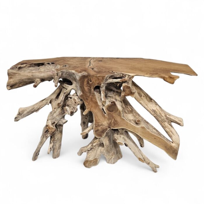 Teak Root Console Table NJA5421D