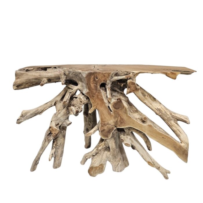 Teak Root Console Table NJA5421D Main