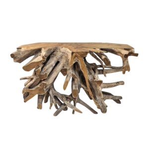 Erosi Teak Tree Root 1.2m Console Table