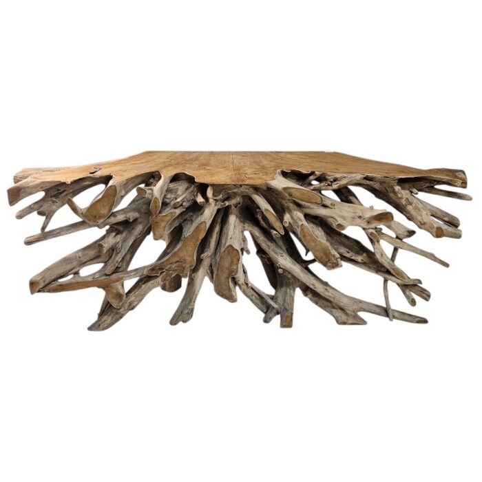 Teak Root Console Table NJA9080A4 top