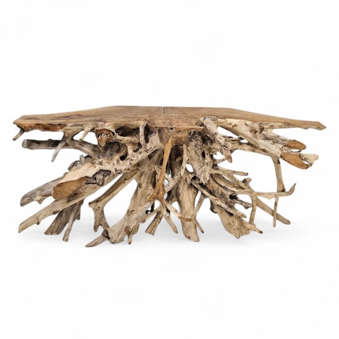 Erosi Teak Root Console Table NJA9073A15 Main Erosi Teak Root Console Table NJA9073A15 Main
