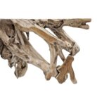 Erosi Teak Root Console Table NJA9073A16 Close