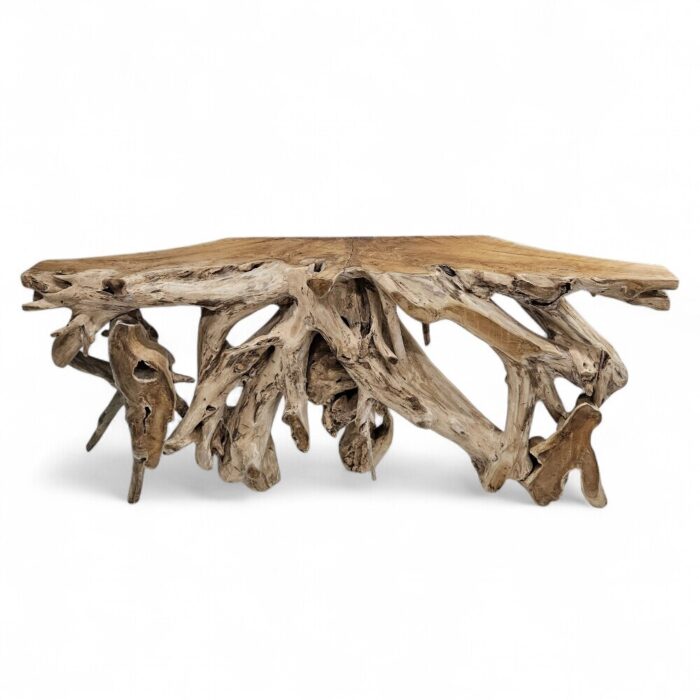 Erosi Teak Root Console Table NJA9073A16 Main Erosi Teak Root Console Table NJA9073A16 Main
