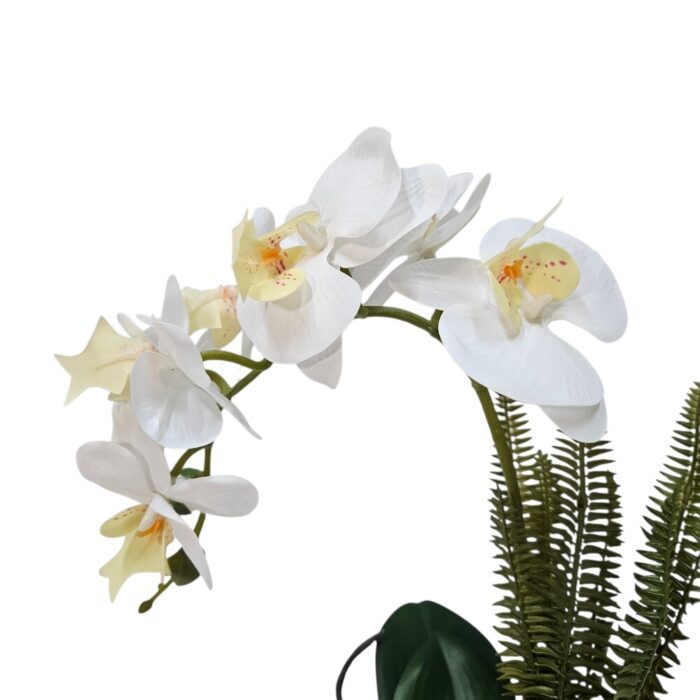 Faux White Orchid In Pot DYF0305 Close