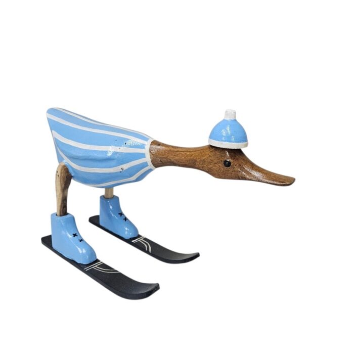 Light Blue Skiing Duck CEB0244 Main