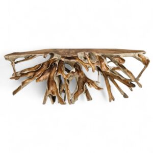 Teak Root Scoop A10 Console Table