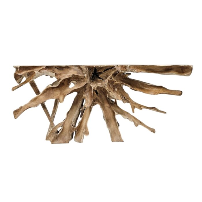 Scoop Teak Root Console Table INJ5070A4 Front
