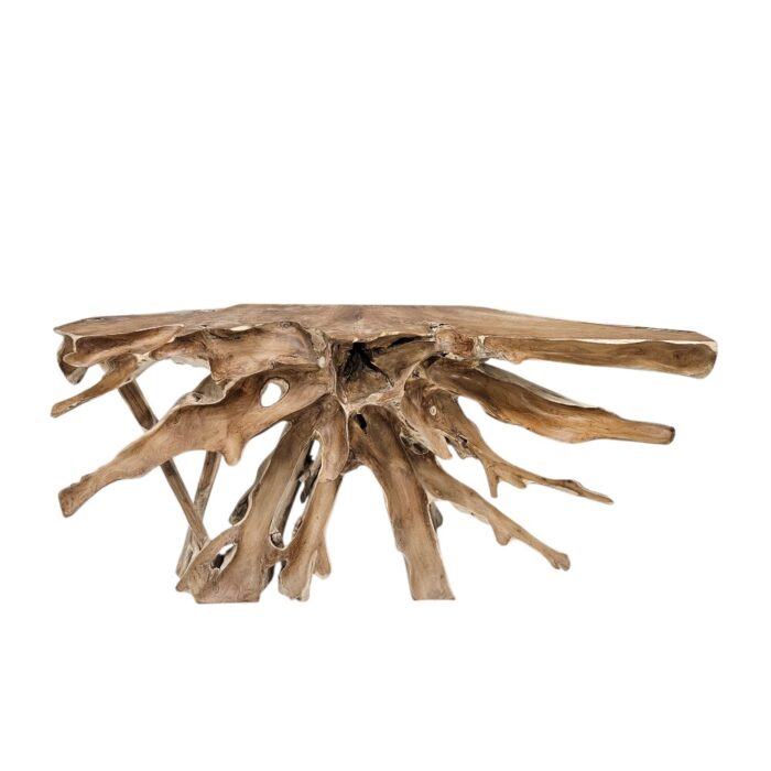 Scoop Teak Root Console Table INJ5070A4 Main