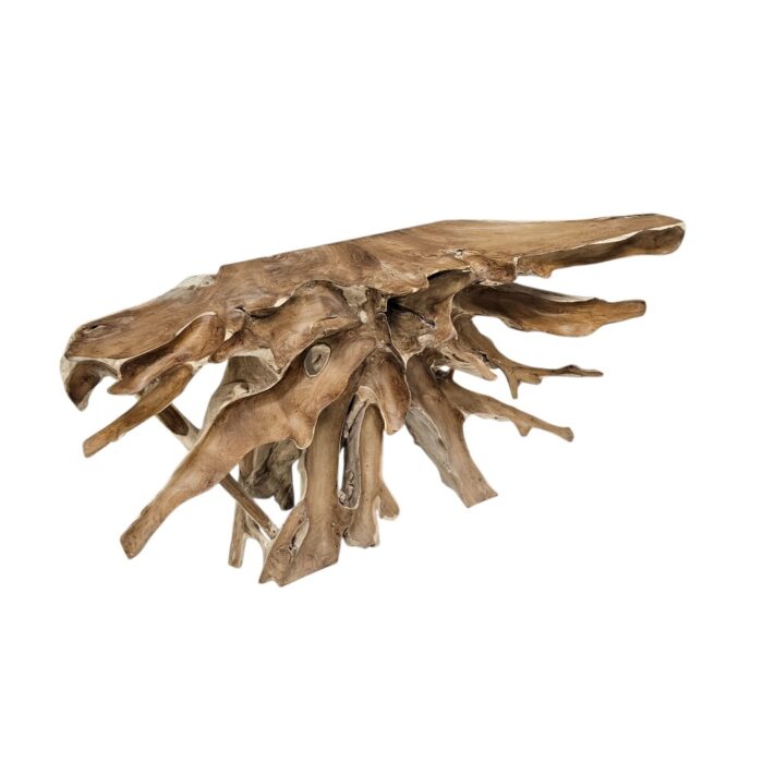 Scoop Teak Root Console Table INJ5070A4 Side