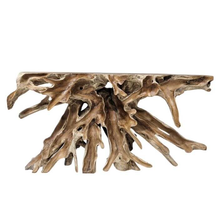 Teak Root Scoop Console Table INJ5001A4 Main Front