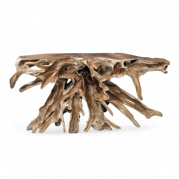 Teak Root Scoop Console Table INJ5001A4 Main Front Top