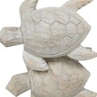 Turtle Mirror Round IWD0615 Close Turtle