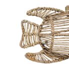 Wall Fish Decor PLR0049 Close Up