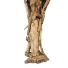 Bird House Teak NJA9984 Bottom