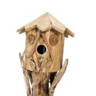 Bird House Teak NJA9984 Close