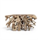 Erosi Teak Root Console Table NJA9075A6
