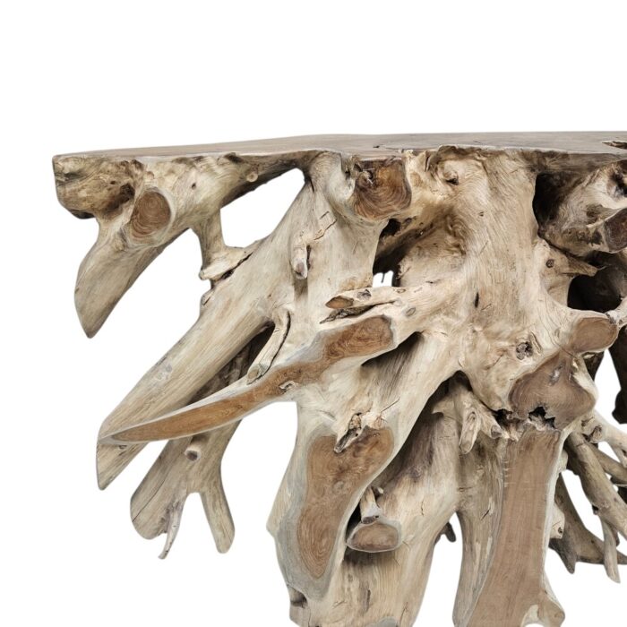 Erosi Teak Root Console Table NJA9075A6 Close