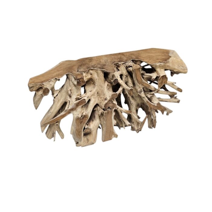 Erosi Teak Root Console Table NJA9075A6 Side