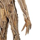 Groot Sculpture NJA9932A Hand