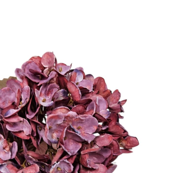 Hydrangea Plum Faux TRA1084 Close Up