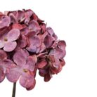 Hydrangea Plum Faux TRA1084 Close Up View