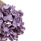 Hydrangea Plum Faux TRA1086 Close View