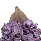 Hydrangea Plum Faux TRA1086 Leaf