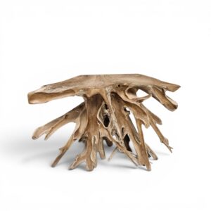 Organic Teak Root Scoop Console A2