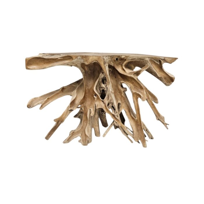 Root Scoop Console Table INJ4990A2 Main