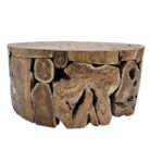 Root Slice Teak Coffee Table NJA8065