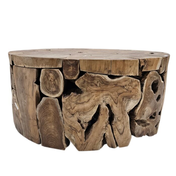 Root Slice Teak Coffee Table NJA8065