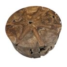 Root Slice Teak Coffee Table NJA8065 Top Close