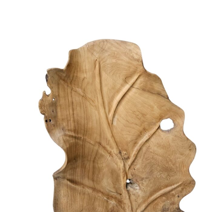 Root Teak Leaf Sculpture NJA9895 Close Up