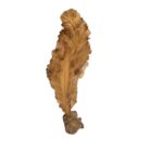 Root Teak Leaf Sculpture NJA9897 Front
