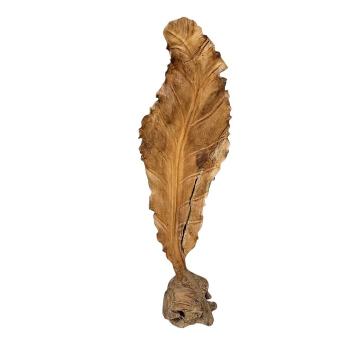 Root Teak Leaf Sculpture NJA9897 Main Root Teak Leaf Sculpture NJA9897 Main