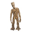 Scupture Groot Teak NJA9932