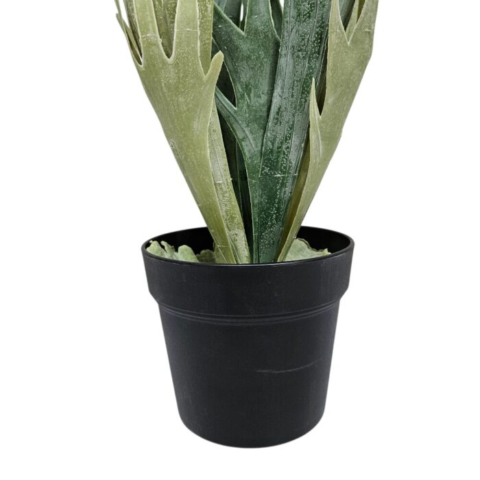 Staghorn Plant Faux TRA1017 Bottom