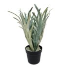 Staghorn Plant Faux TRA1017 Main