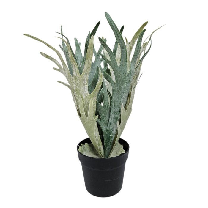 Staghorn Plant Faux TRA1017 Main