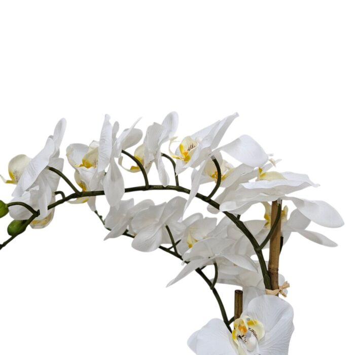 White Faux Orchid TRA0168 Close