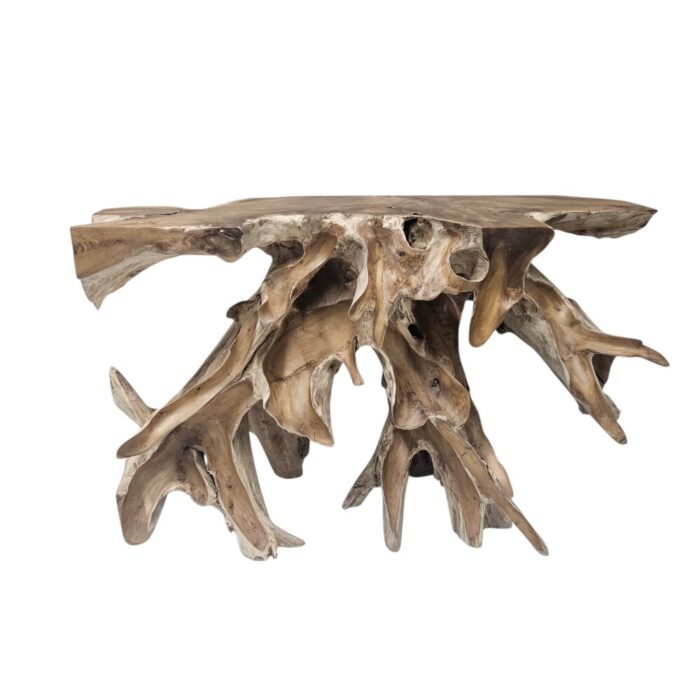 Root Console Table INJ4990A4 Front Root Console Table INJ4990A4 Front