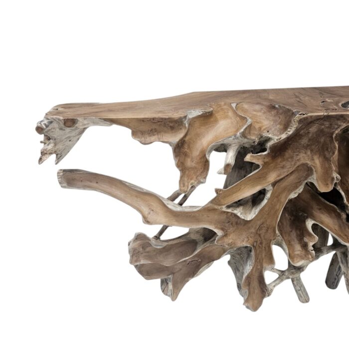 Root Console Table INJ5060A13 Close Up Root Console Table INJ5060A13 Close Up