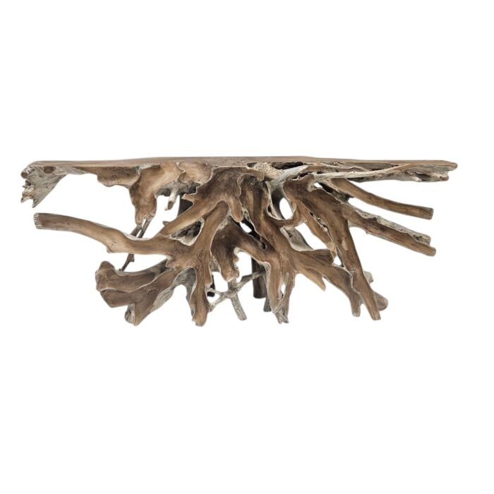 Root Console Table INJ5060A13 Front Root Console Table INJ5060A13 Front