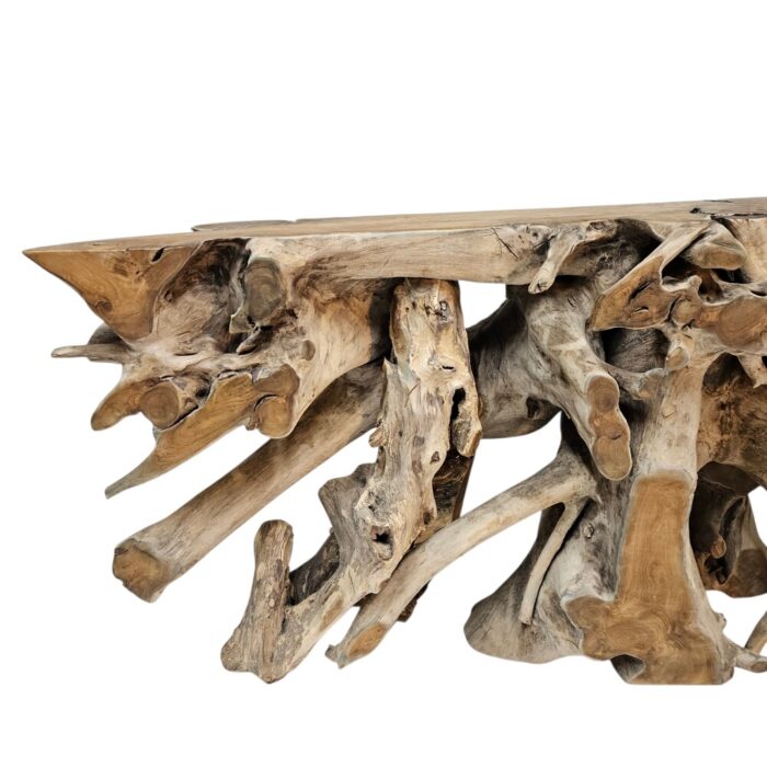 Root Teak COnsole Table NJA9080A9 Close Front Root Teak COnsole Table NJA9080A9 Close Front