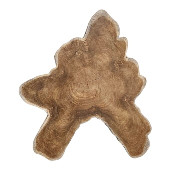 Teak Organic Wall Decor NJA8501 Side