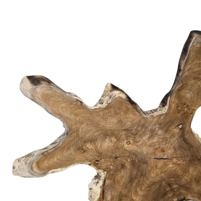 Teak Organic Wall Decor NJA8501A Close