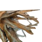 Teak Root Scoop Console Table INJ5070A5 Close
